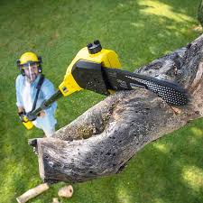 Best Lawn Grading and Leveling  in Pensacola, FL